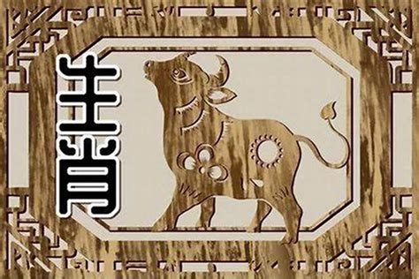 67歲屬什麼|67年属什么生肖属相 67年属相哪个命运如何